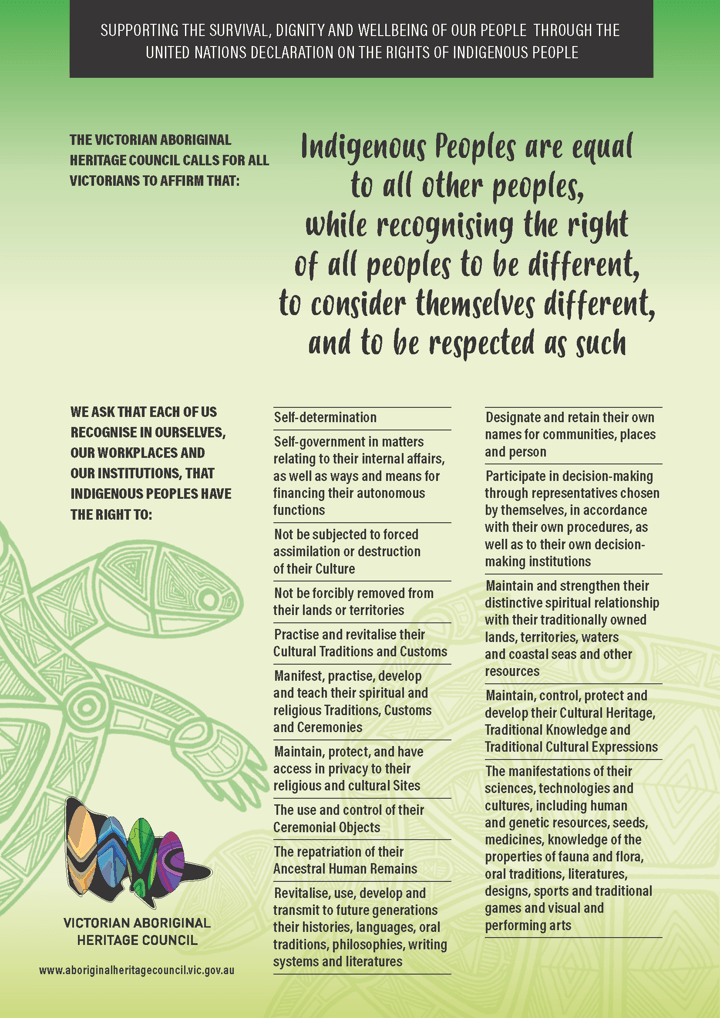 Undrip Poster.pdf Declaration on the Rights of Indigenous Peoples ...